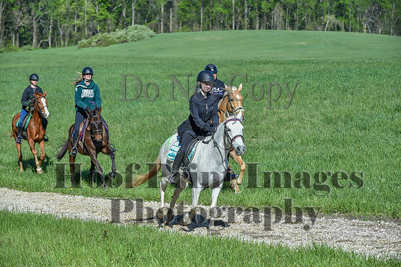 ChesapeakeSpring(4-27-25)0537