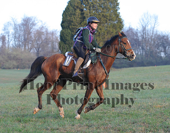 Foxcatcher(4-12-14)0380