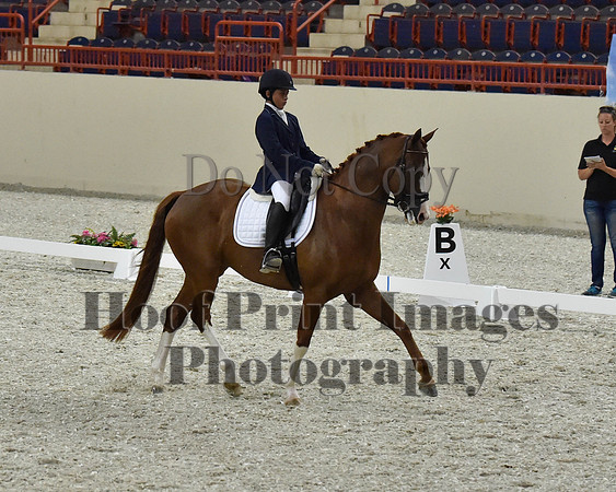 CWdressageII(8-21-16)1999