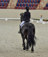 CWdressageI(8-20-16)0042