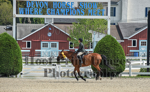 BrassRingDevon1Mon(7-19-21)1372
