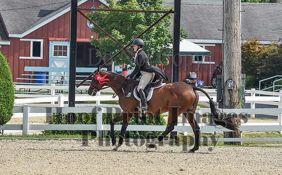 BrassRingDevon1Mon(7-19-21)1362