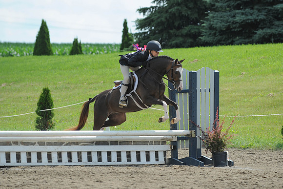 SC(6-28-14)SMPony0069