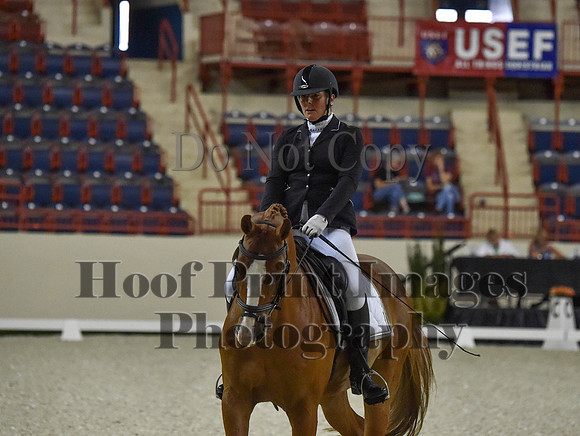 CWdressageI(8-20-16)0509