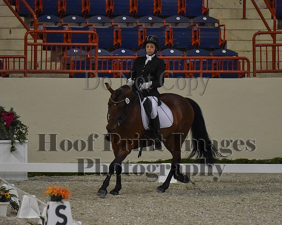 CWdressageII(8-21-16)0504