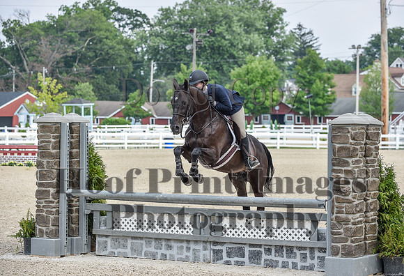BrassRingDevon1Mon(7-19-21)1466