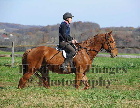 AndrewsBr(11-9-14)0348