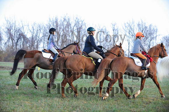 Foxcatcher(4-12-14)0139