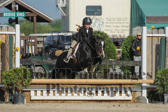 BRSa(5-17-14)SMChP0036