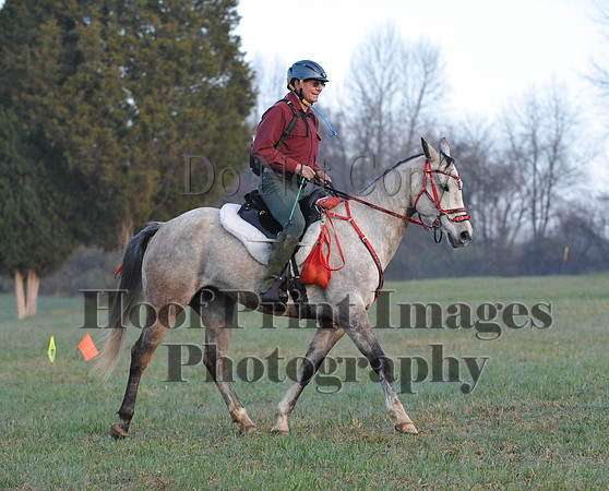 Foxcatcher(4-12-14)0187