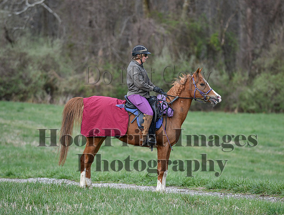 ChesapeakeSpring(4-10-22)0138
