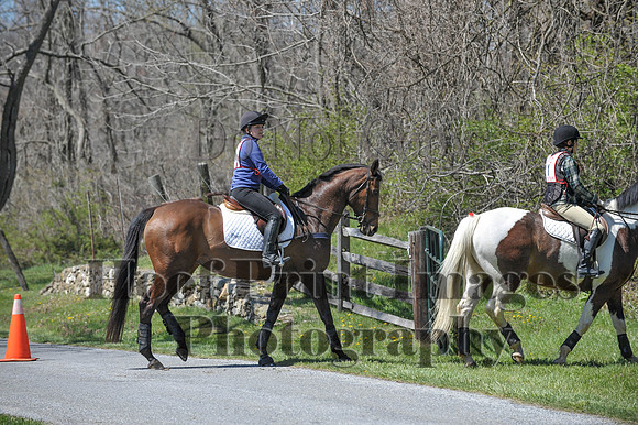 CheshirePC(4-16-16)0071