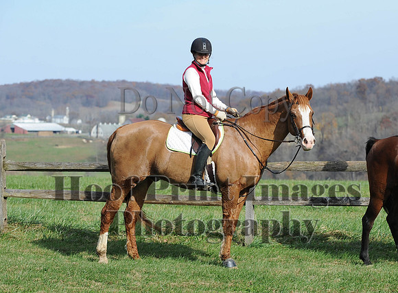 AndrewsBr(11-9-14)0394