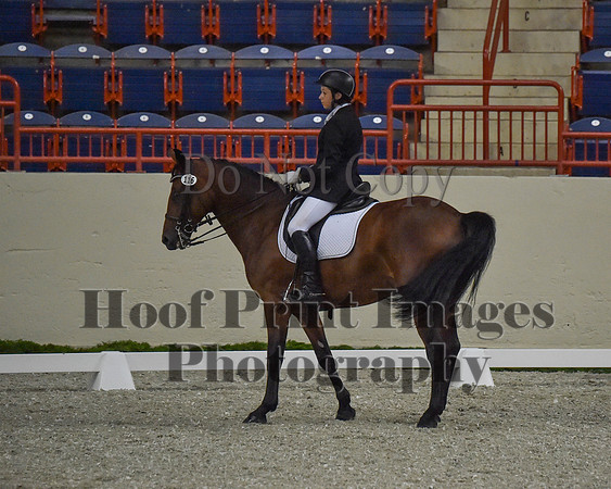 CWdressageII(8-21-16)0479