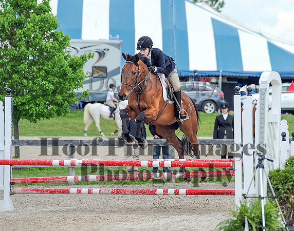 BRSa(5-17-14)0.8mJCl0025