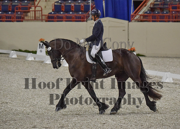CWdressageI(8-20-16)0306