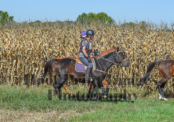 CheshirePonyClubPC(10-6-24)0373
