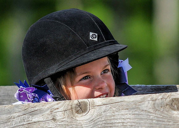 Equestrian0004