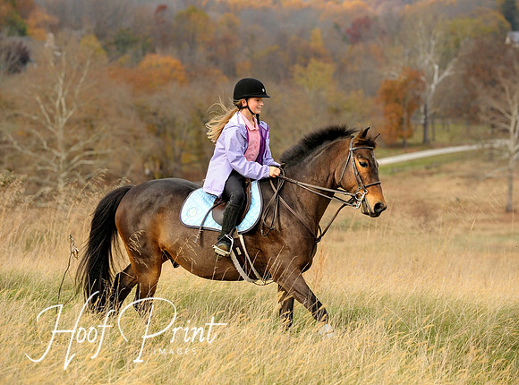 Equestrian0005
