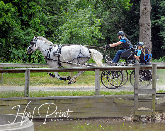 Equestrian0008