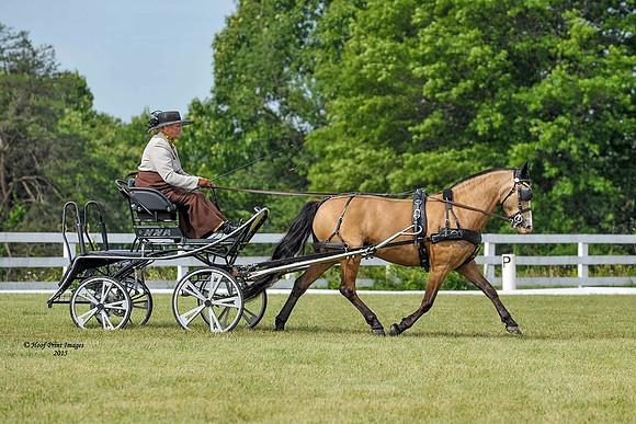 Equestrian0012