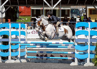 Equestrian0011