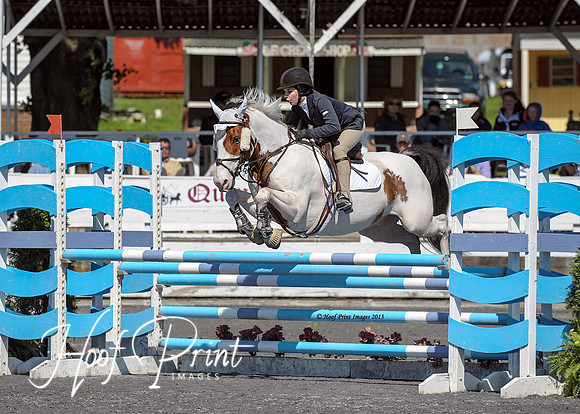 Equestrian0011
