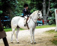 Equestrian0013