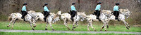 Equestrian0015