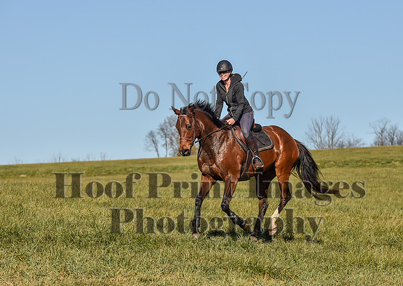 FairHillPCSaturday(11-26-22)0123