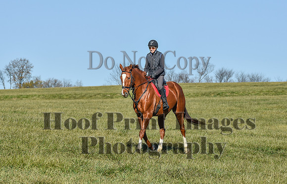 FairHillPCSaturday(11-26-22)0150