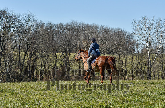 FairHillPCSaturday(11-26-22)0163