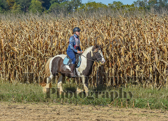 CheshirePonyClubPC(10-6-24)0209