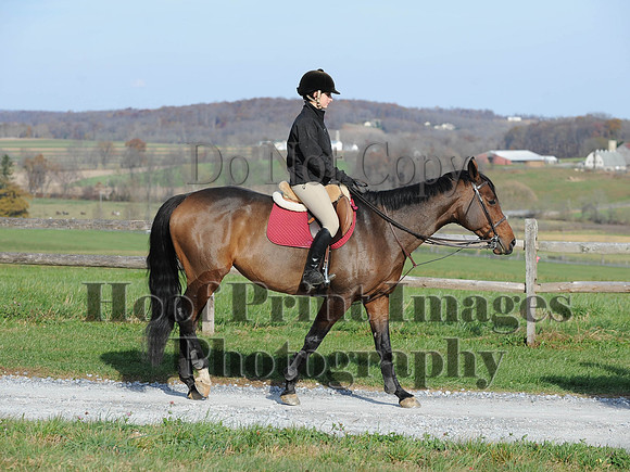 AndrewsBr(11-9-14)0663