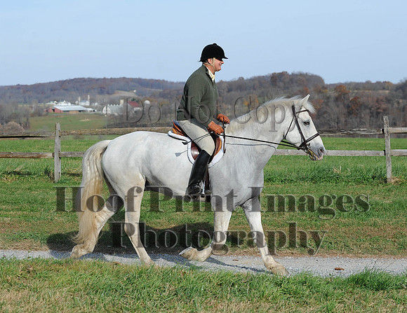 AndrewsBr(11-9-14)0628