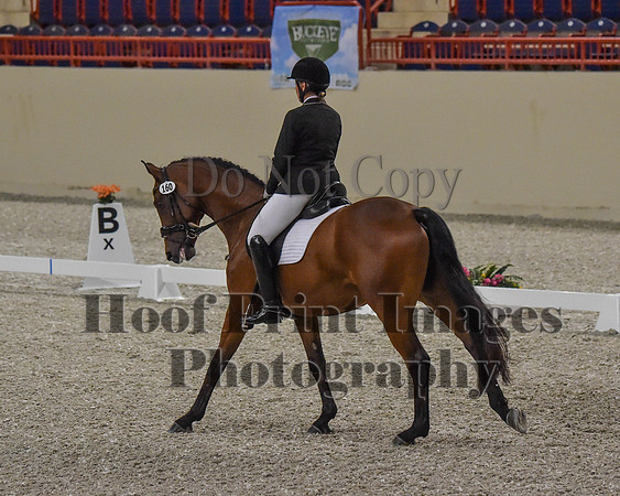 CWdressageII(8-21-16)0154