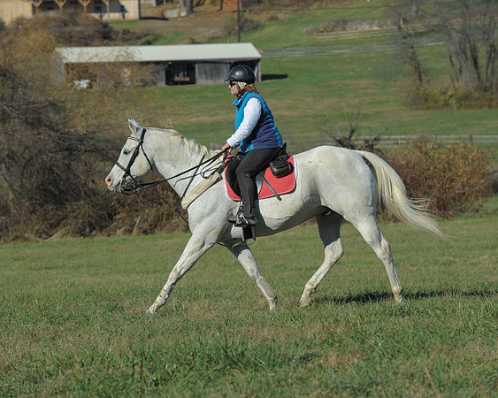 BHPC(11-15-15)0686