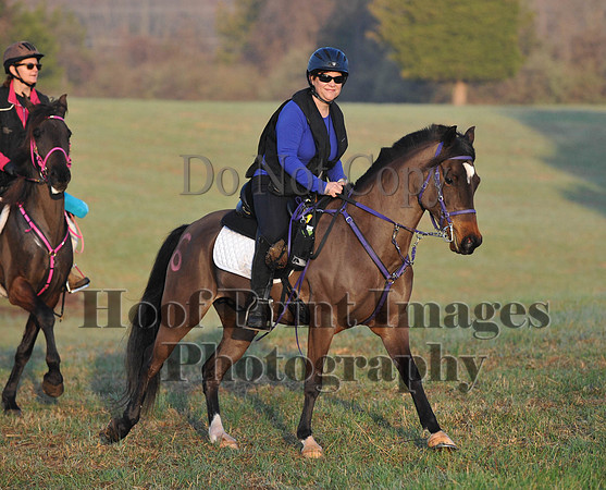 Foxcatcher(4-12-14)0259