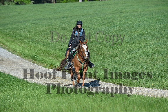 ChesapeakeSpring(4-27-25)0370