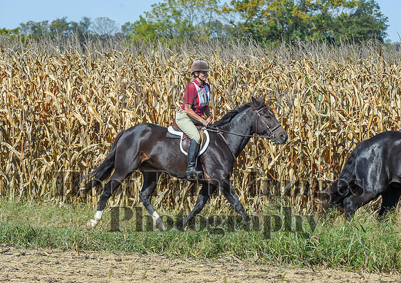 CheshirePonyClubPC(10-6-24)0384
