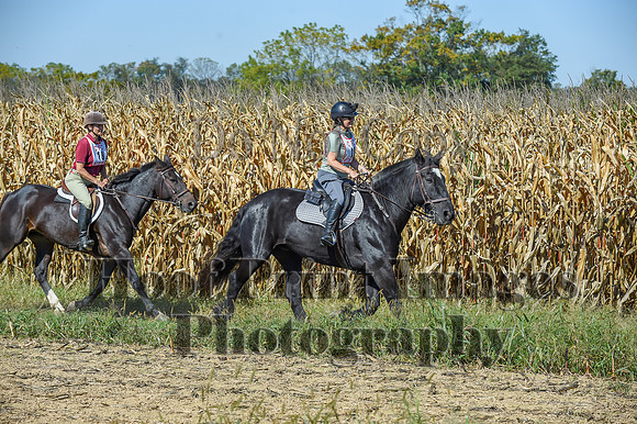 CheshirePonyClubPC(10-6-24)0383
