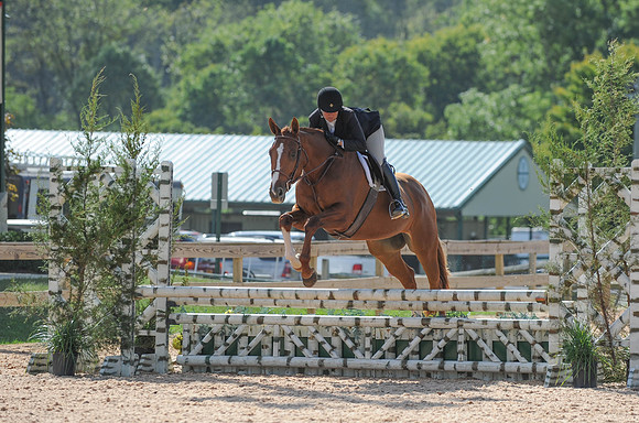 LocHtr2ft6(9-12-14)0046