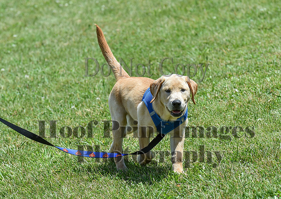 KickOffThurs1(6-20-19)0418