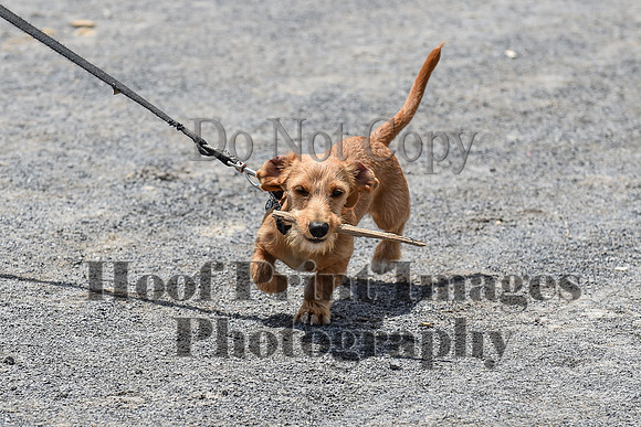 KickOffFri1(6-21-19)0656