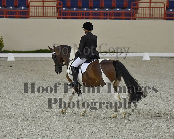 CWdressageII(8-21-16)1078