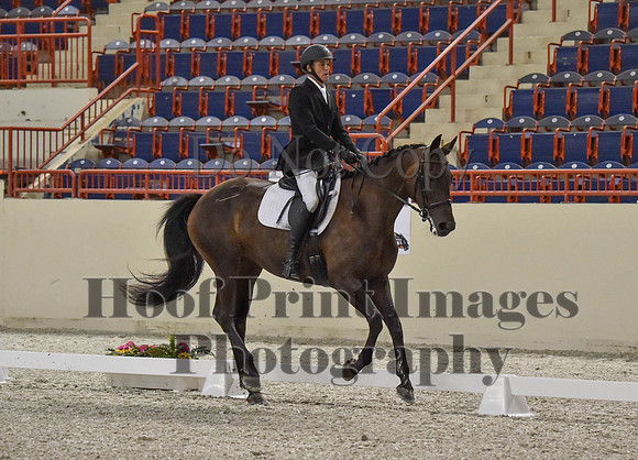 CWdressageI(8-20-16)0667