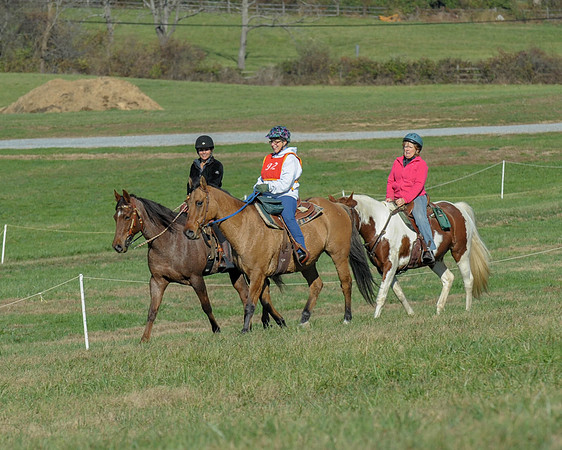 BHPC(11-15-15)0601