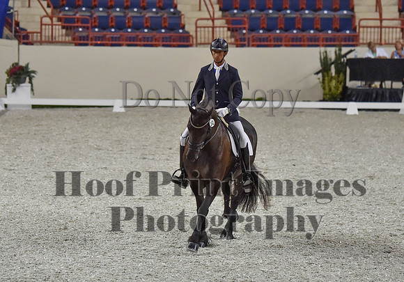 CWdressageI(8-20-16)0295