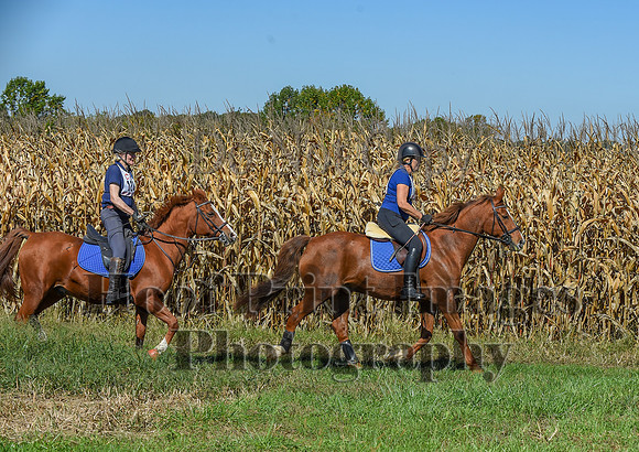 CheshirePonyClubPC(10-6-24)0435
