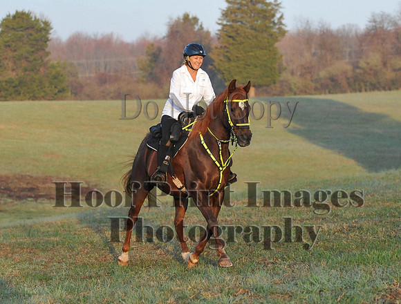 Foxcatcher(4-12-14)0205